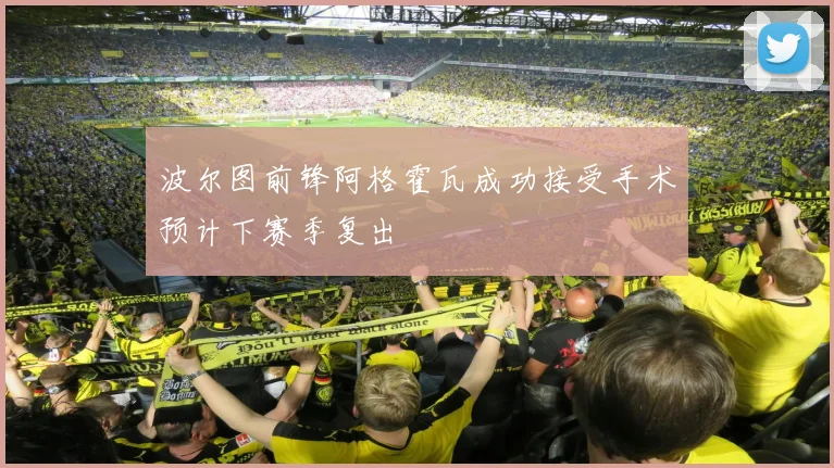 波尔图前锋阿格霍瓦成功接受手术预计下赛季复出